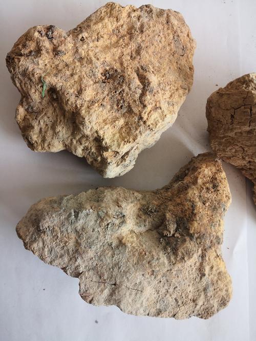 大连金拓矿业